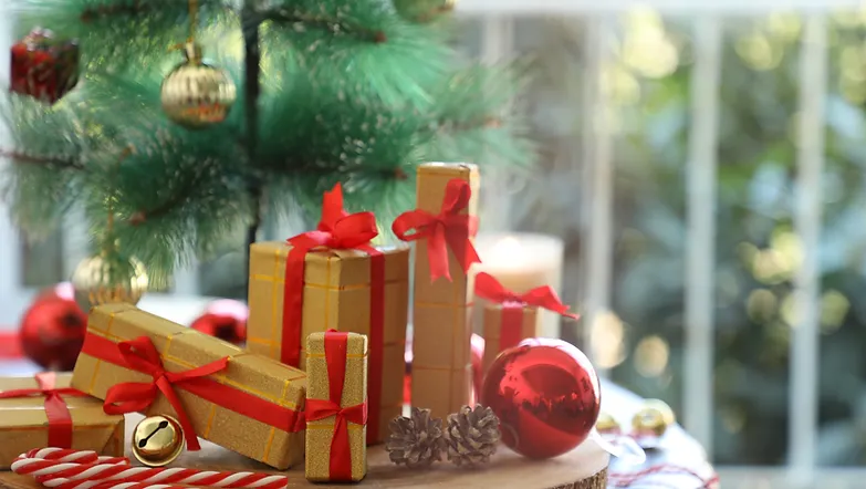 Remise des Colis de Noël