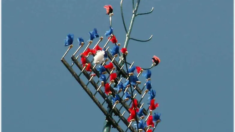 Tir à la Perche Verticale