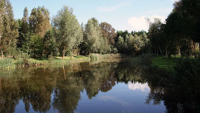 Concours de Pêche